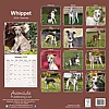 Whippet Calendar